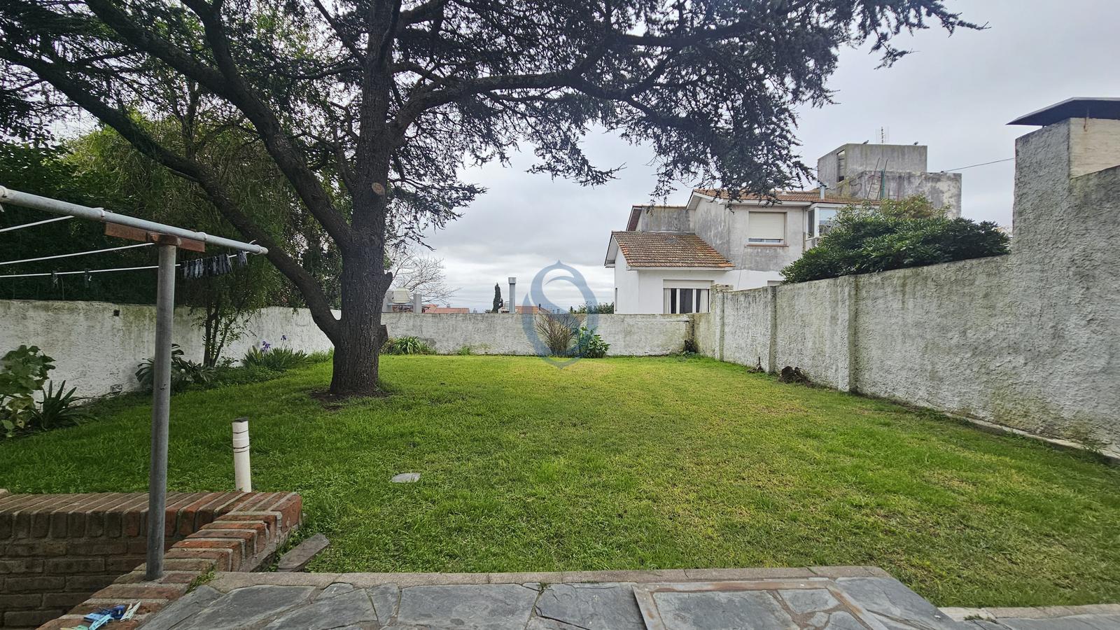 Miniatura 34